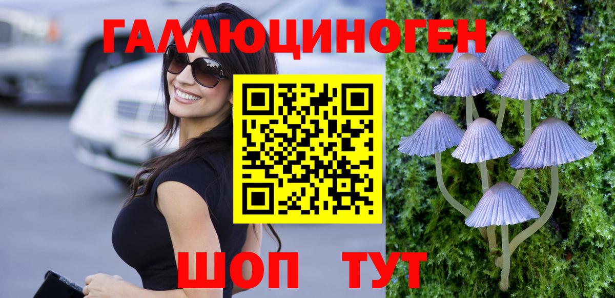 Галлюциногенные грибы ЛСД Бердск