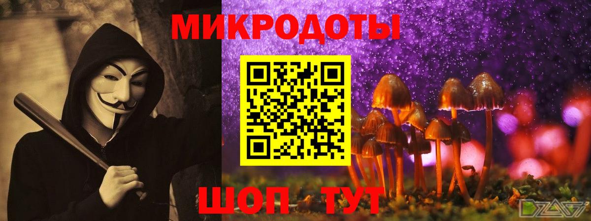 Псилоцибиновые грибы Cubensis  продажа наркотиков  Бердск  Вход с VPN 